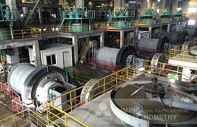 Gold ore upgrading project in China